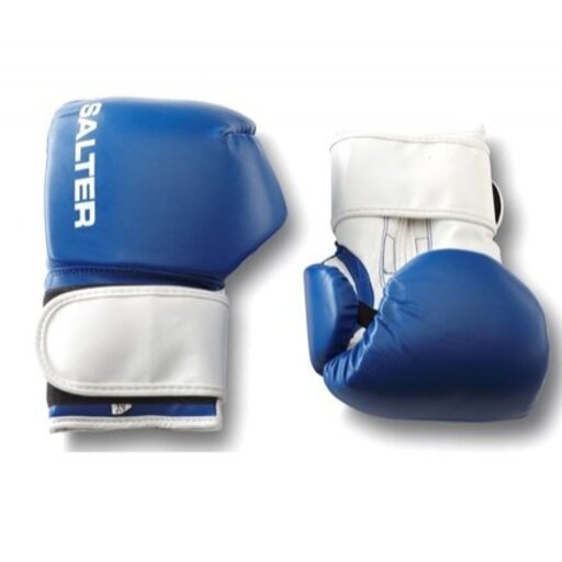 Luvas de treino de boxe Salter 10 oz (par)