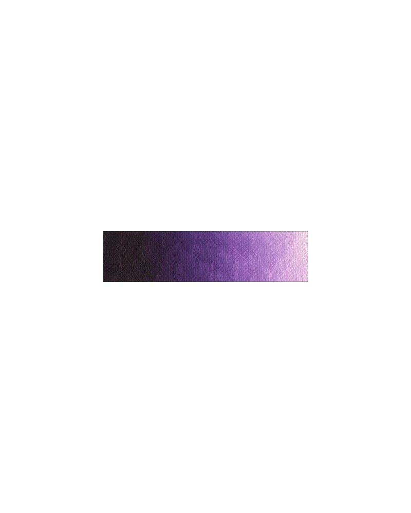 C-193 violet vif Old Hollands
