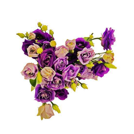 Botte de Lysianthus - 5 tiges : coloris variables