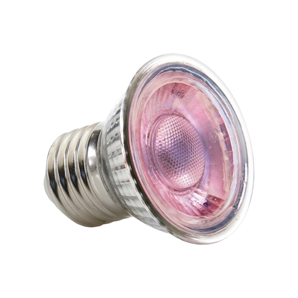 Exo Terra Daglicht LED-Spot Nano