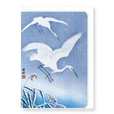 Japanese Cranes In Snow