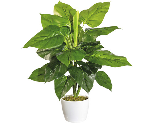Kunstplant Philodendron, hoogte: 50 cm, groen