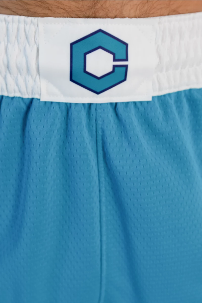 Nike Charlotte Hornets Icon Edition Herren Basketballshort
