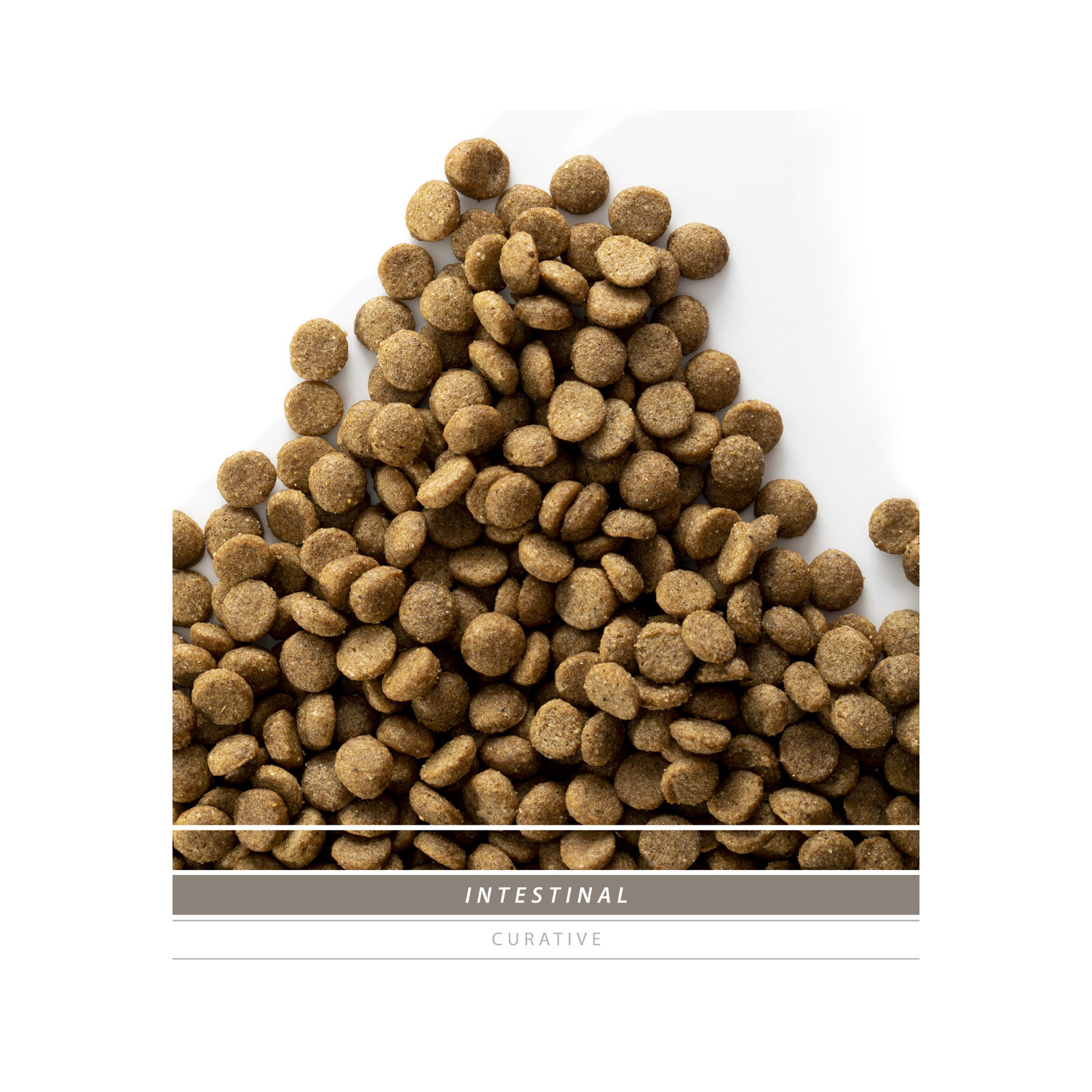 SANIMED Intestinal Cat