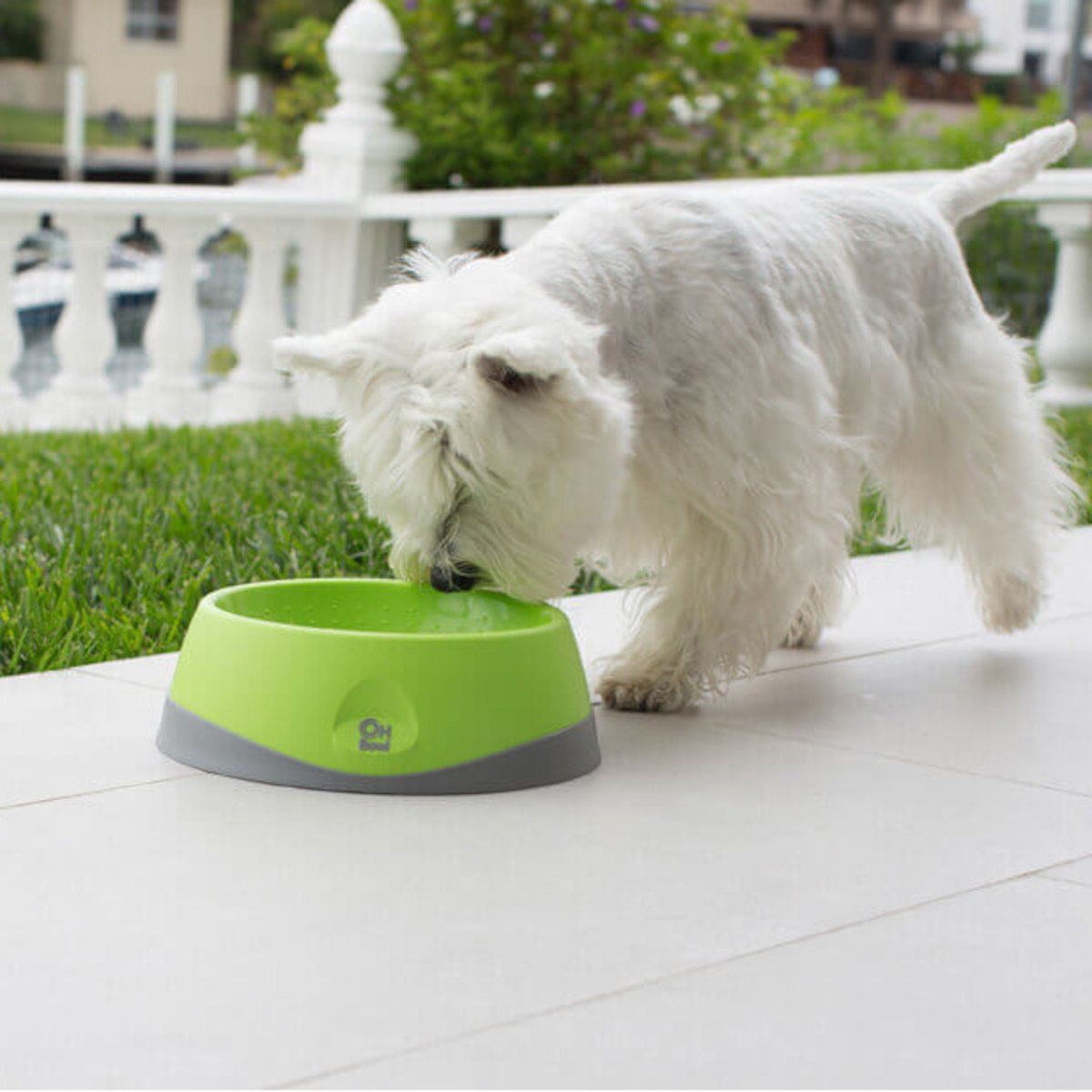 Lickimat OH Bowl - Schlecknapf für Hunde