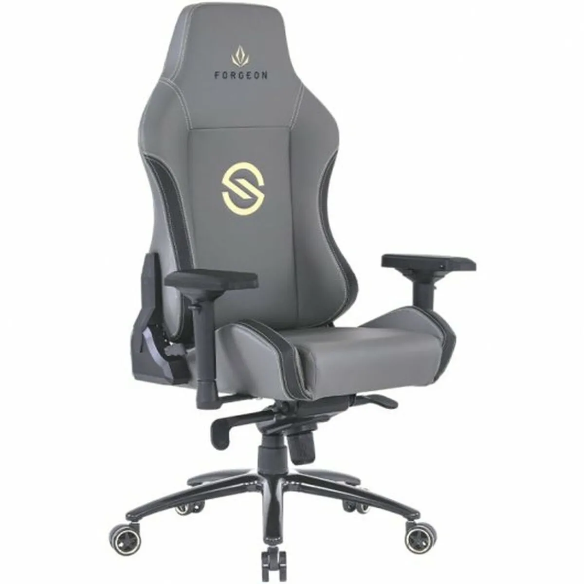 Forgeon Chaise de jeu Gris