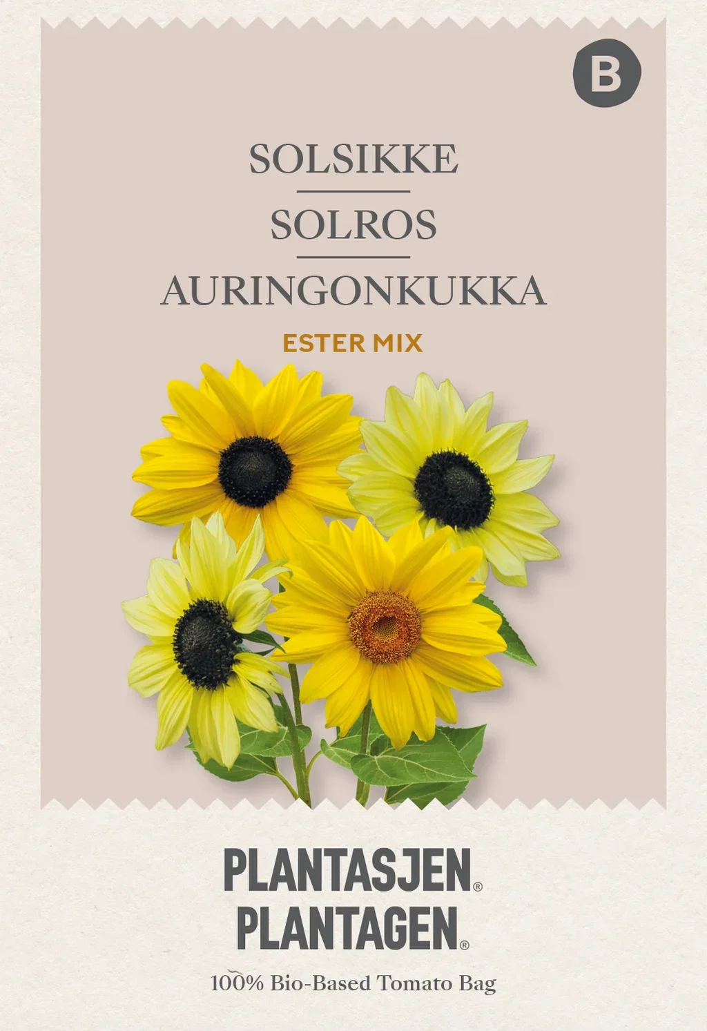 Helianthus debilis Solsikke Ester mix