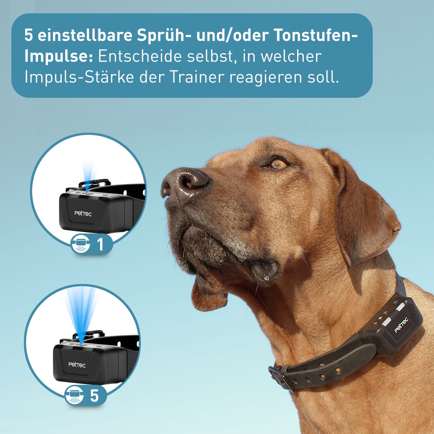 PetTec Spray & Ton Multi-Trainer mit Fernbedienung inkl. Citronella-Spray