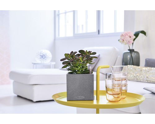 Canto Stone kunststof bloempot, 14x14x14 cm, steengrijs, inclusief grondbewateringssysteem en waterniveau-indicator