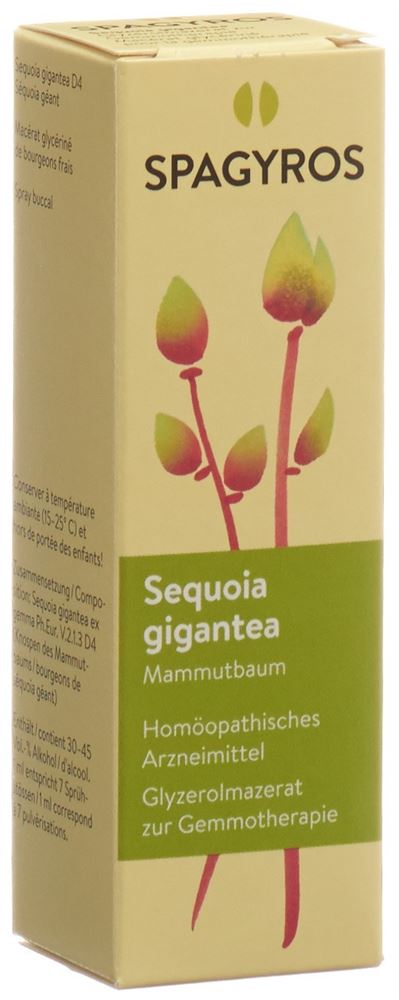 Spagyros Sequoia gigantea 4 D<br>30 ml, Spray, Glycerinmazerat