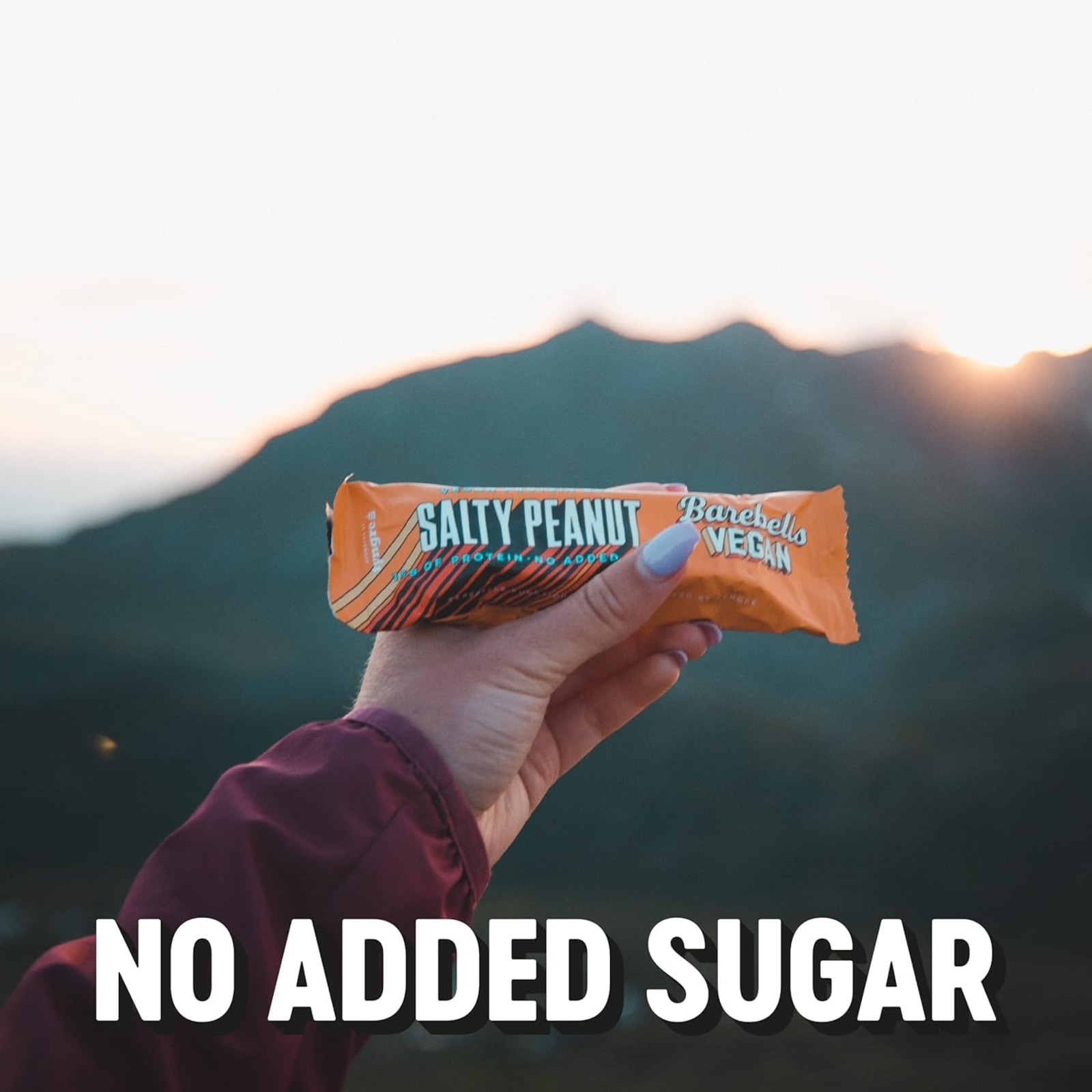 Vegan Protein Bar - 12x55g - Salty Peanut