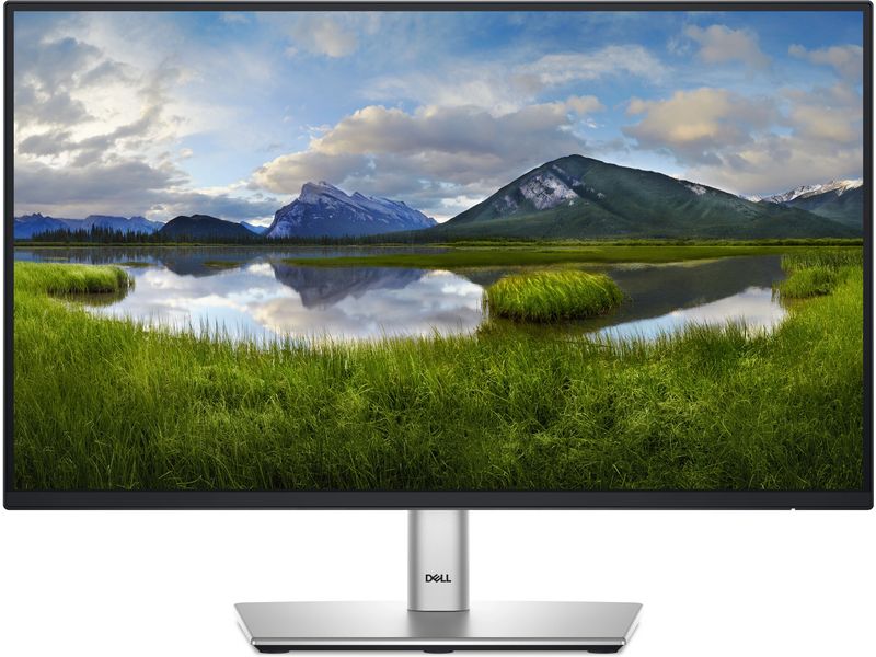 Dell Monitor P2225H Ergonomischer 21.5