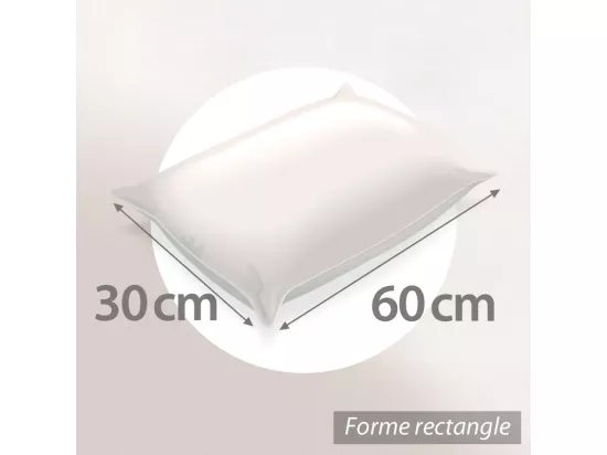 Oreiller 60x30 cm GRIZZ'LIT PLUMES 100% Plumes de Canard
