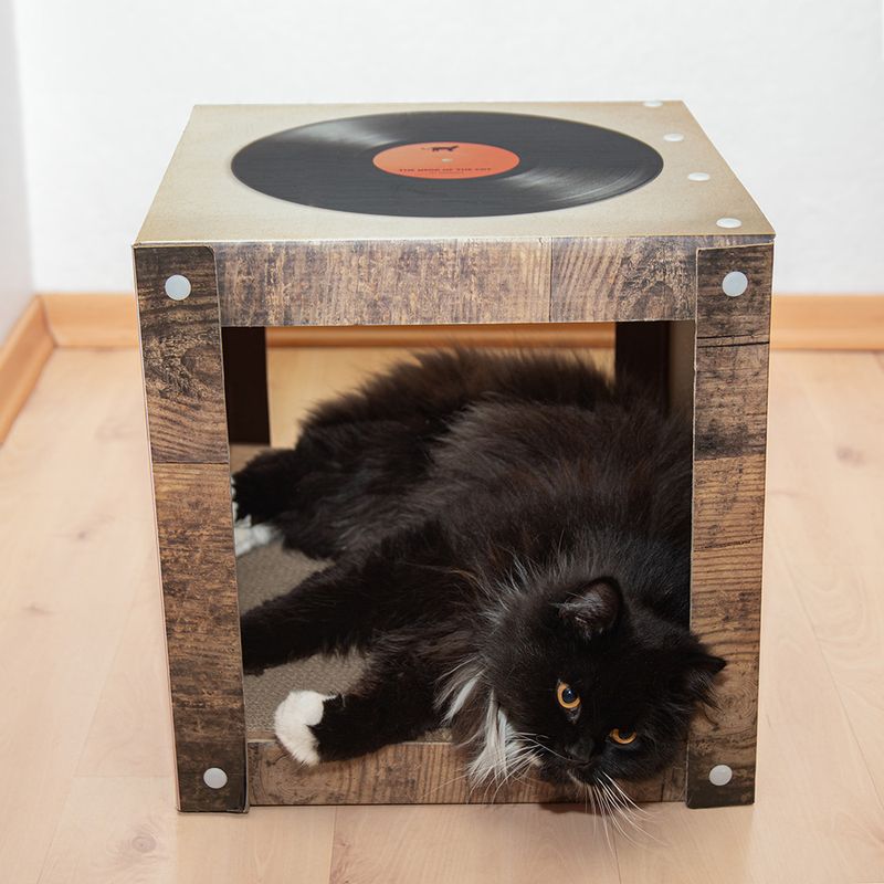 Griffoir Modern Living New Orleans pour chat
