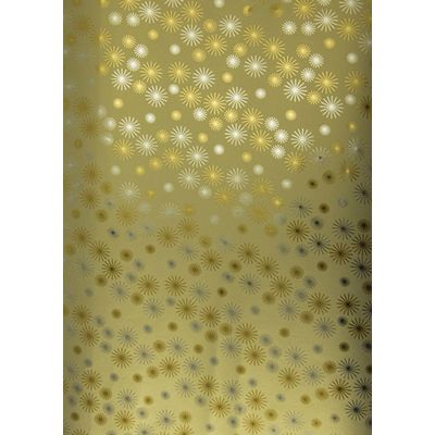 Clairefontaine Premium Max & me - Papier cadeau - 70 cm x 2 m - différents modèles disponibles