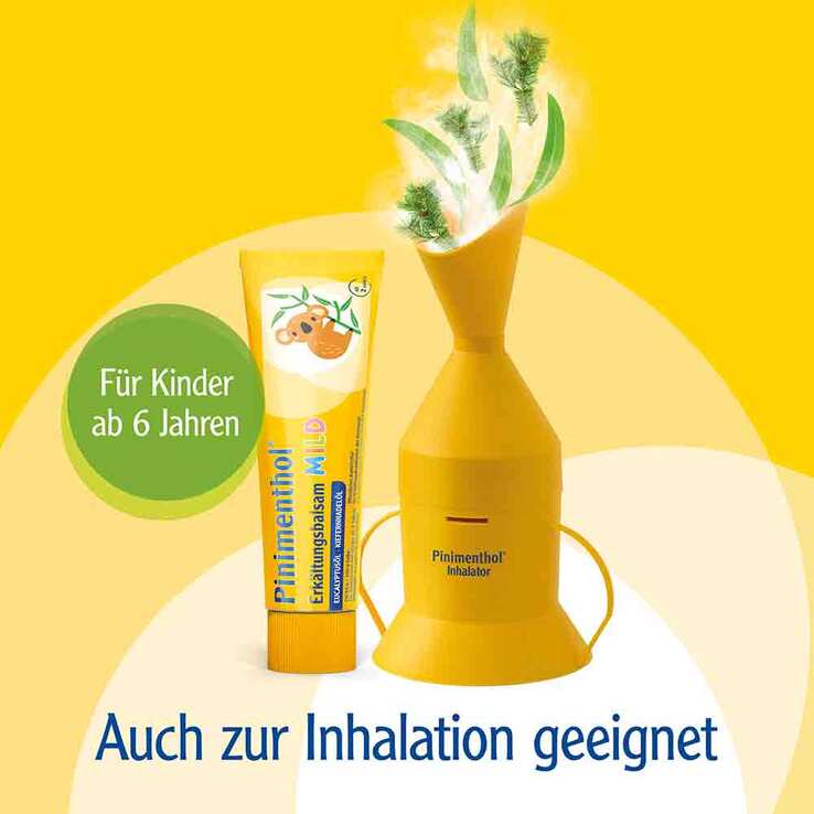 Pinimenthol® Erkältungsbalsam mild Eucalyptusöl Kiefernnadelöl, 20 g