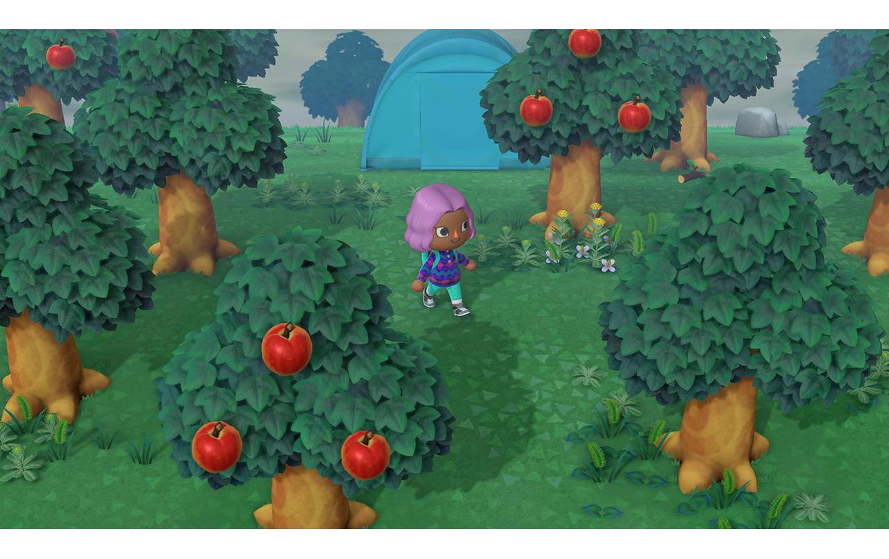 Animal Crossing: New HorizonsAnimal Crossing: New Horizons