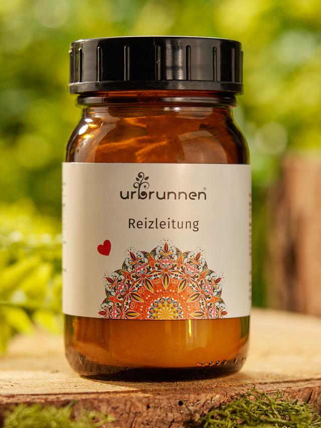 Reizleitung