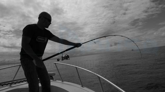 Blank TR86 Super Tuna-H 2.55m 30-100 Gr Tuna