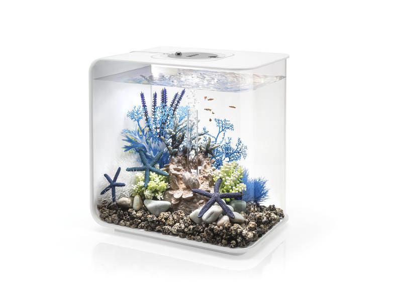 biOrb Flow 30 MCR Wit | Aquarium