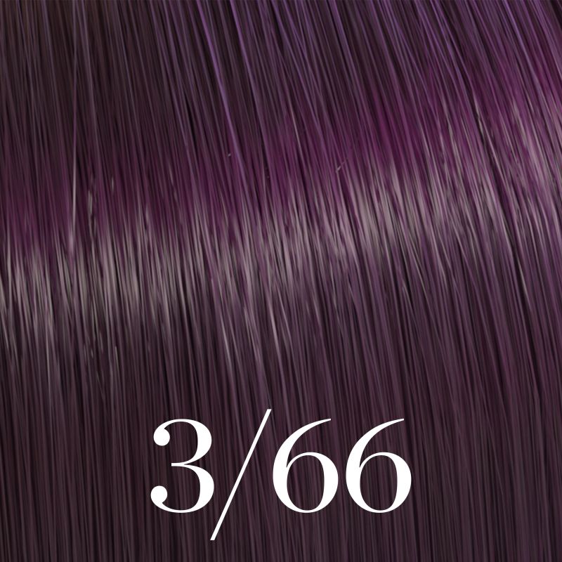 Coloration Color Touch Vibrant Reds 3/66 Châtain Foncé Violine Intense Wella 60ml