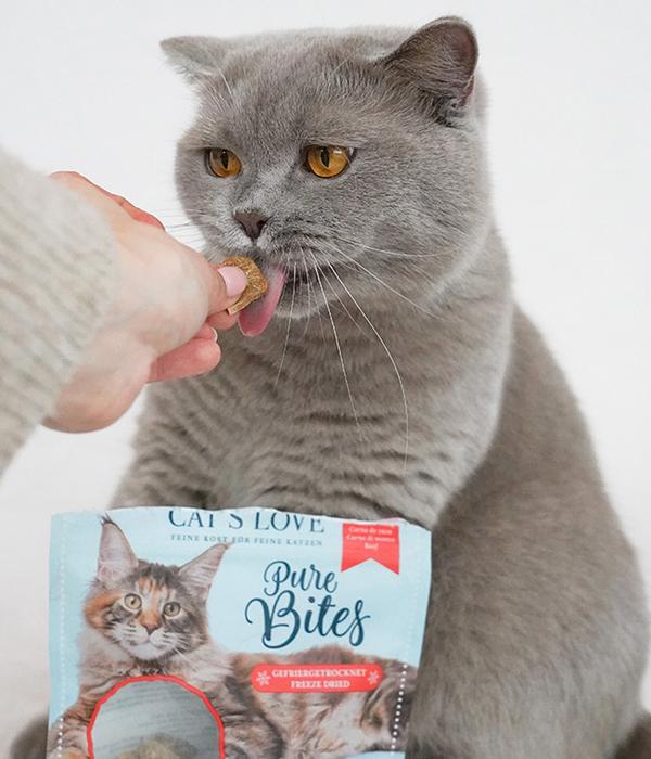 CAT'S LOVE Katzensnack Pure Bites