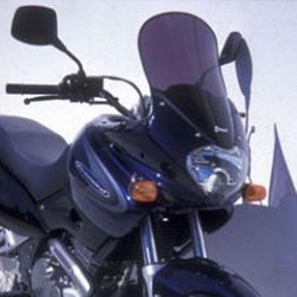 Bulle Ermax Haute protection - Gris