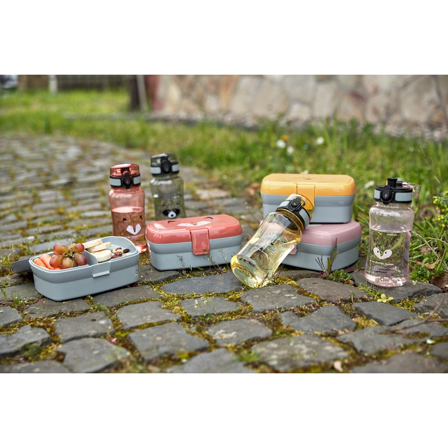 LÄSSIG Lunch-Set mit Brotdose und Trinkflasche 460 ml, About Friends Fox