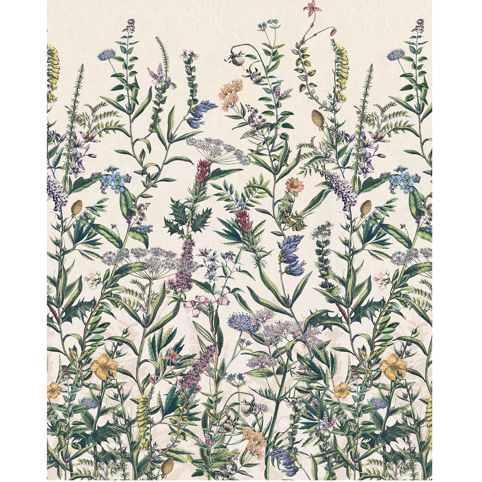 Vlies-Fototapete FLOWERING HERBS - bunt - 200x250 cm