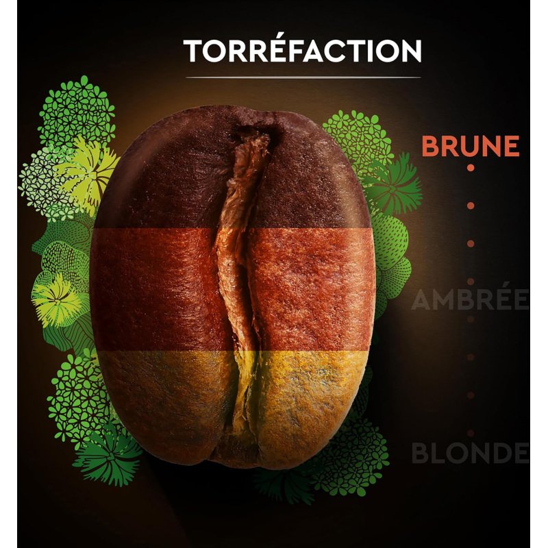 Café en grains Carte Noire Bio Intense - paquet de 1 kg