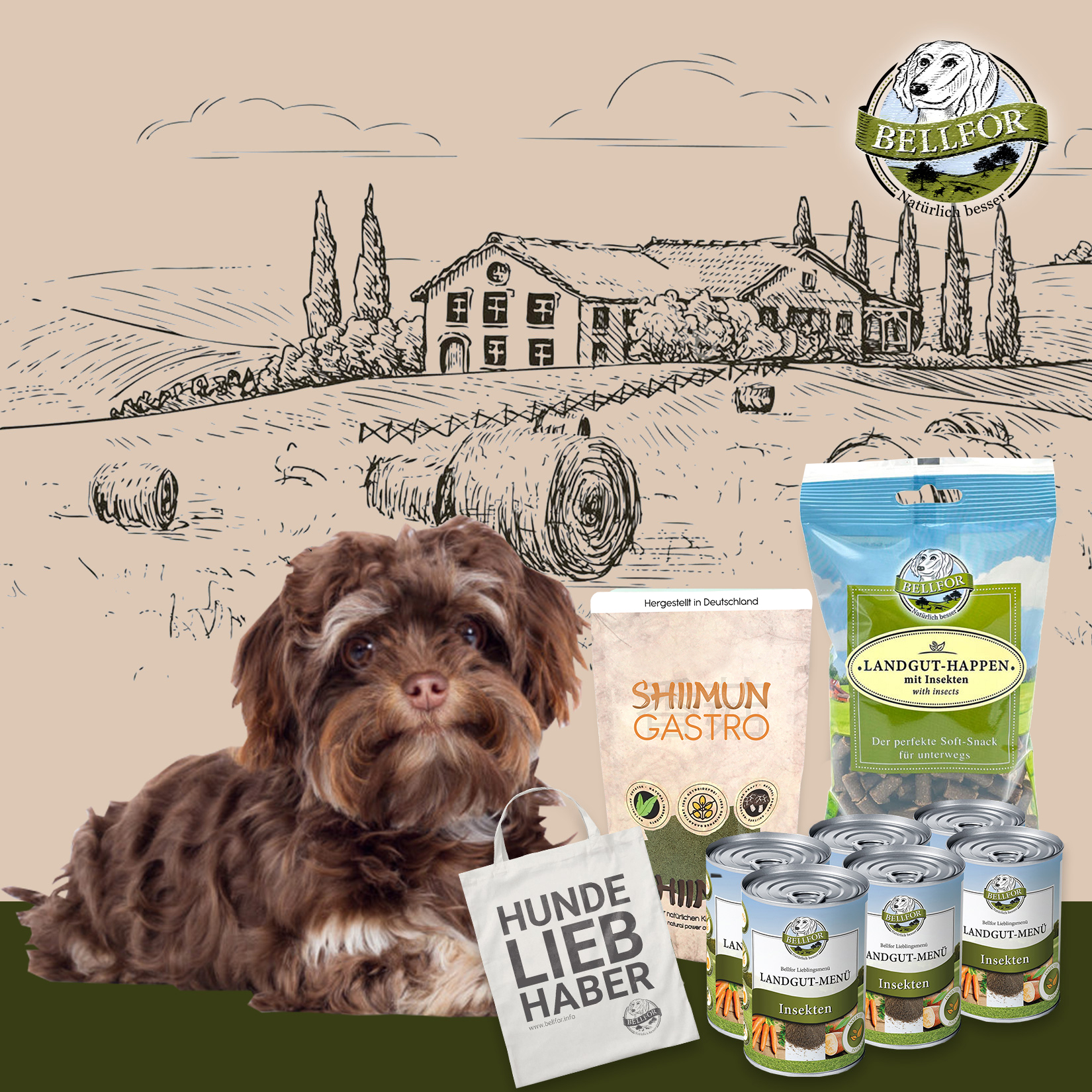 Set d'alimentation pour petits chiens ayant des problèmes digestifs