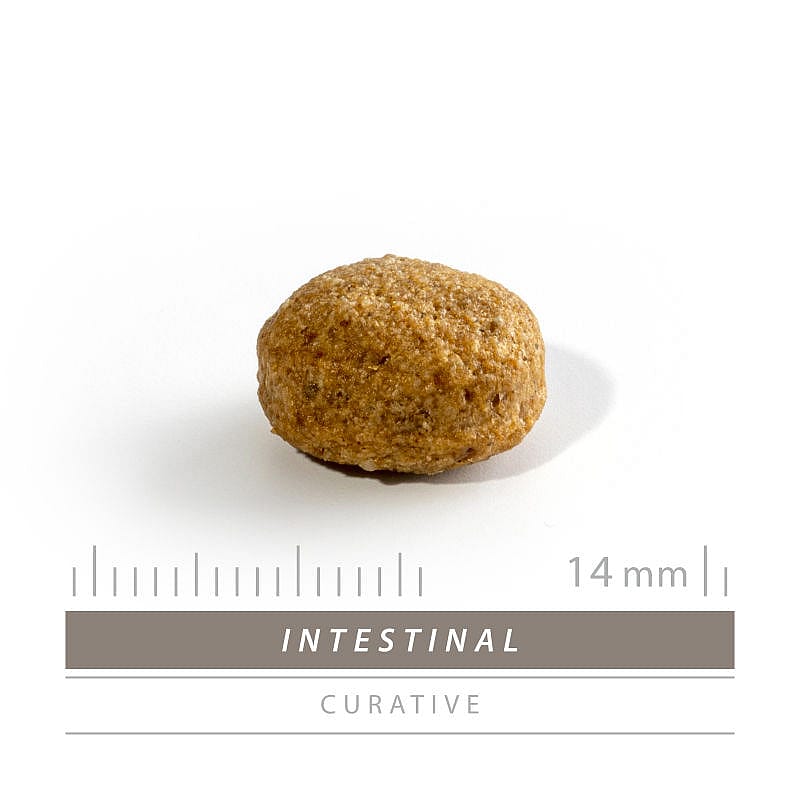 Sanimed Intestinal Hond 3 kg