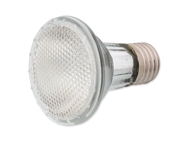 Repti Planet Terrarienlampe Halogen Spot 25 W Spotbeleuchtung für Terrarien