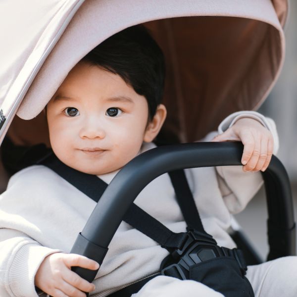 Thule Shine Kinderwagen 2-in-1 Black / Alaska Blue
