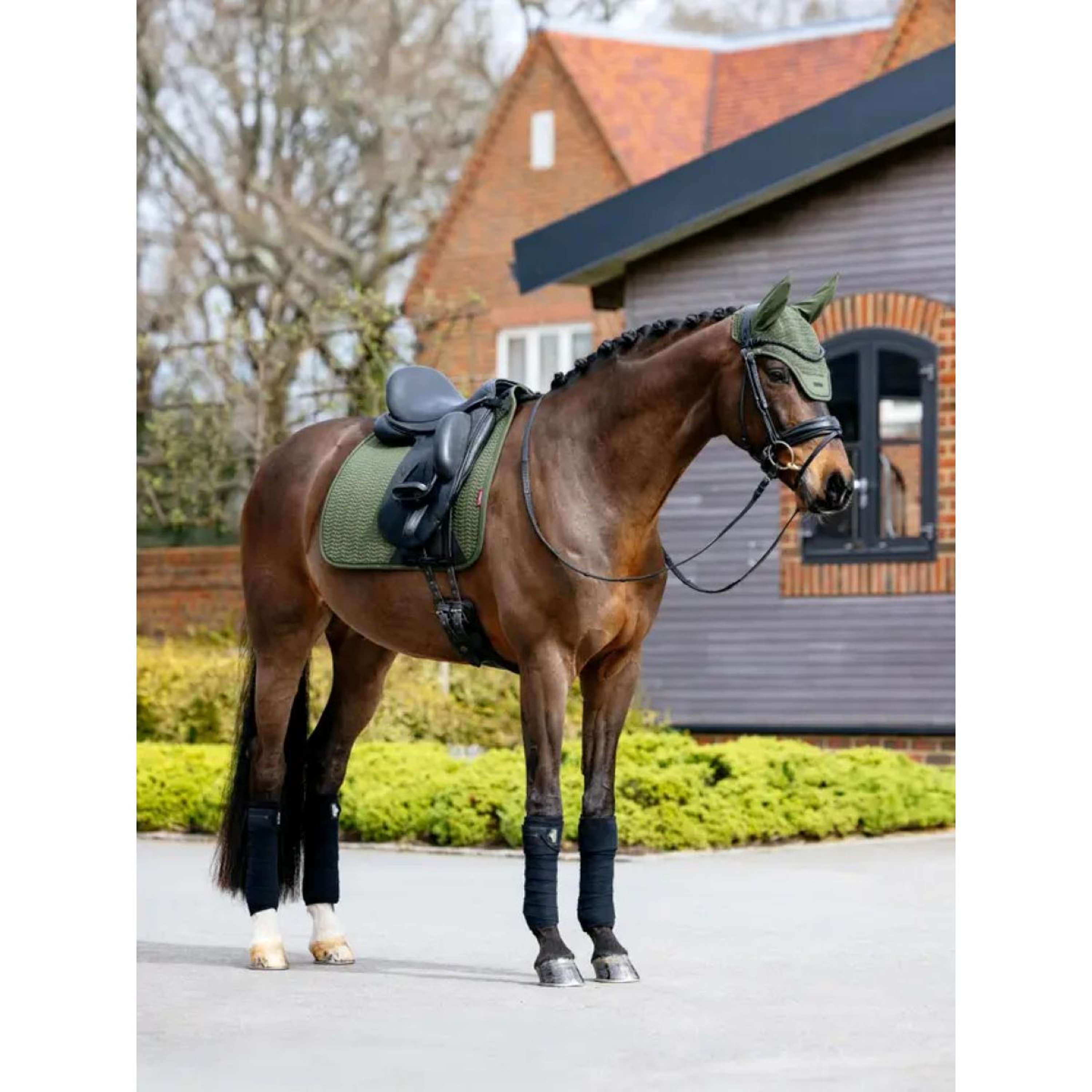LeMieux Zadeldekje Essence Dressuur Pine Green
