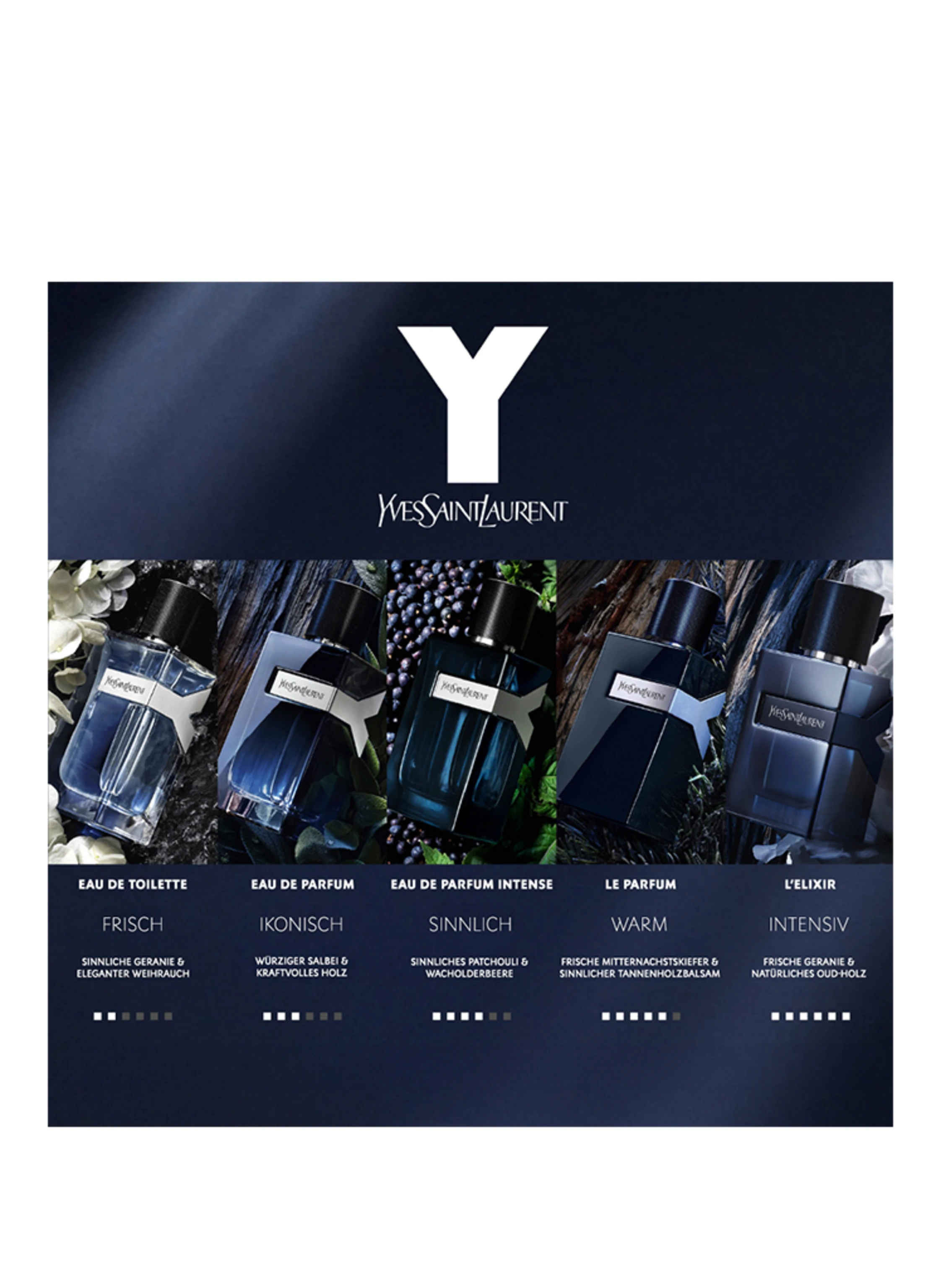 YVES SAINT LAURENT BEAUTÉ Y
