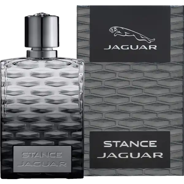 Stance, EdT 100 ml