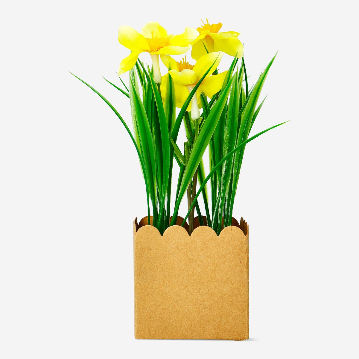 Dekorativ blomst