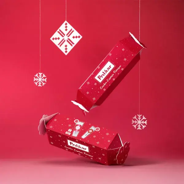 Conto de fadas de biscoito polar na Lapônia