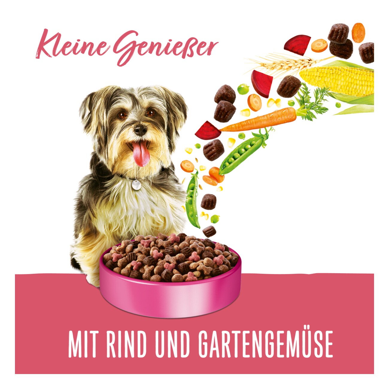 Beneful Purina Trockenfutter Hund, Adult, Kleine Genießer, Rind & Gartengemüse 2,8 kg