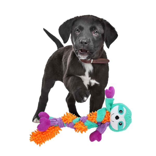 Tug/Fetch-hundeleke