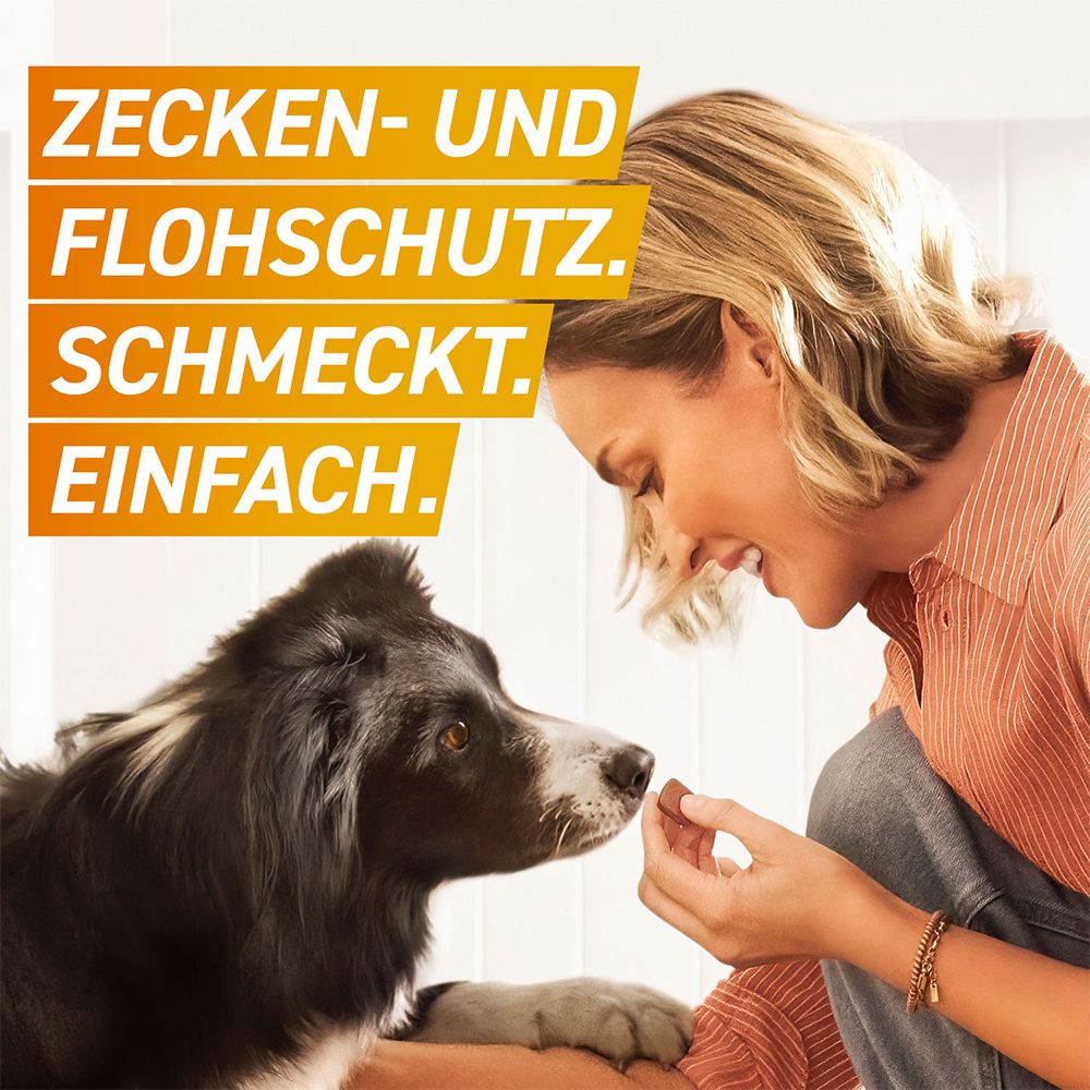 FRONTPRO® Kautablette gegen Zecken und Flöhe für Hunde (>10-25kg)