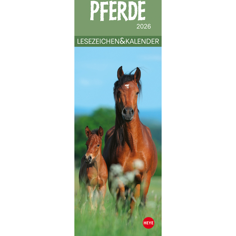 Heye Bildkalender 2026 Pferde, 1 Monat / Seite