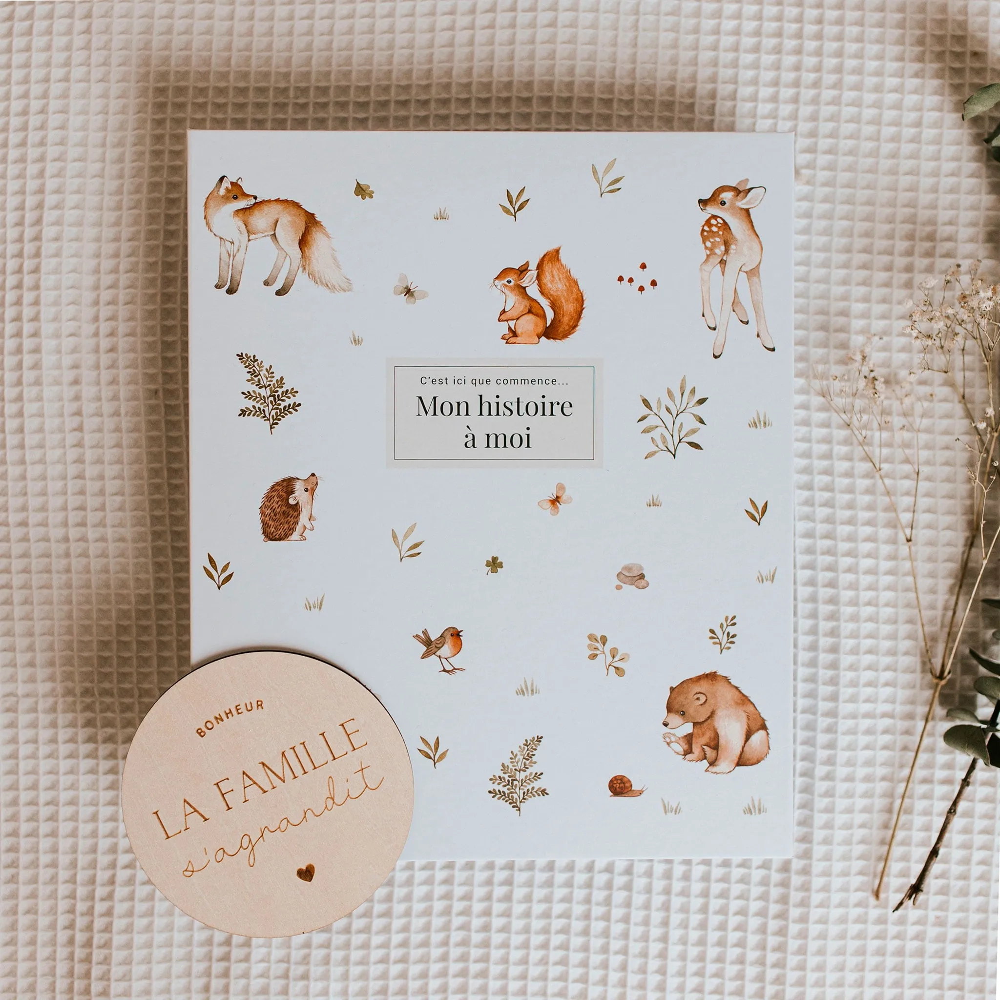 Le Petit Tableau Noir Album de Bébé - Animaux Douceur