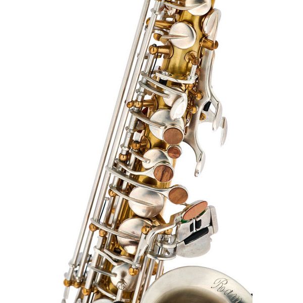 Rampone & Cazzani Two Voices Alto Sax OTS