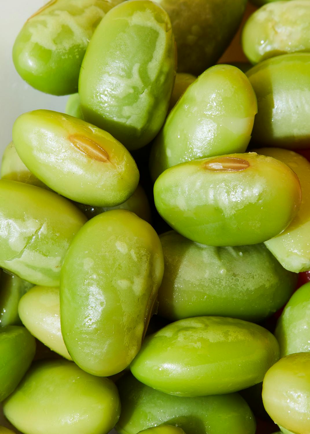 Grüne Bio Edamame in der Dose 130 g