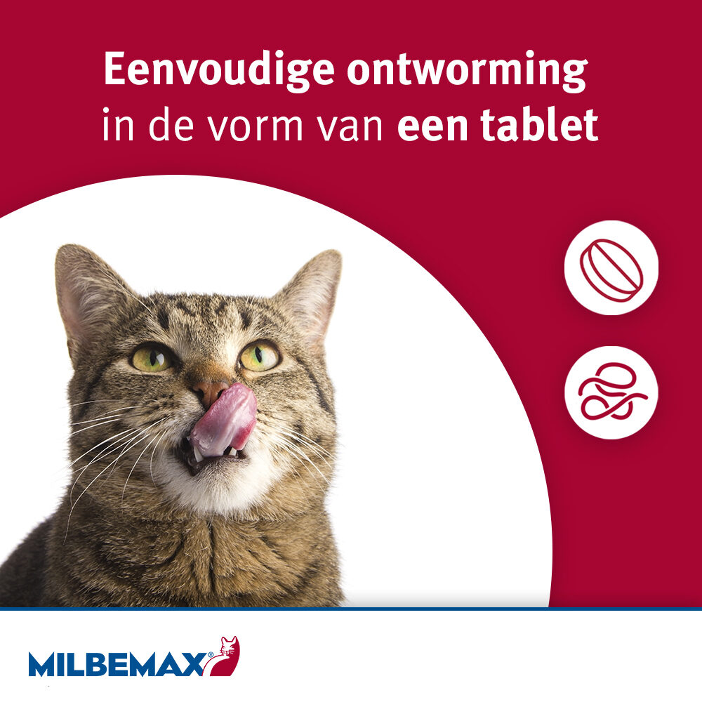 Milbemax Kat