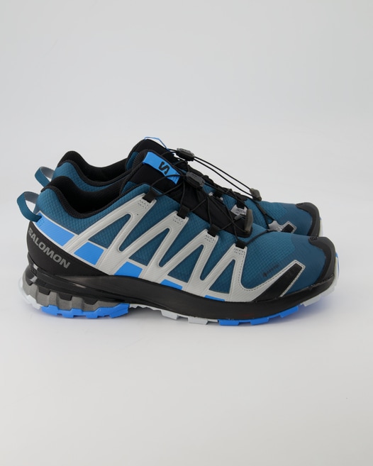 Salomon XA Pro 3D v8 GTX Wanderschuhe in Blau
