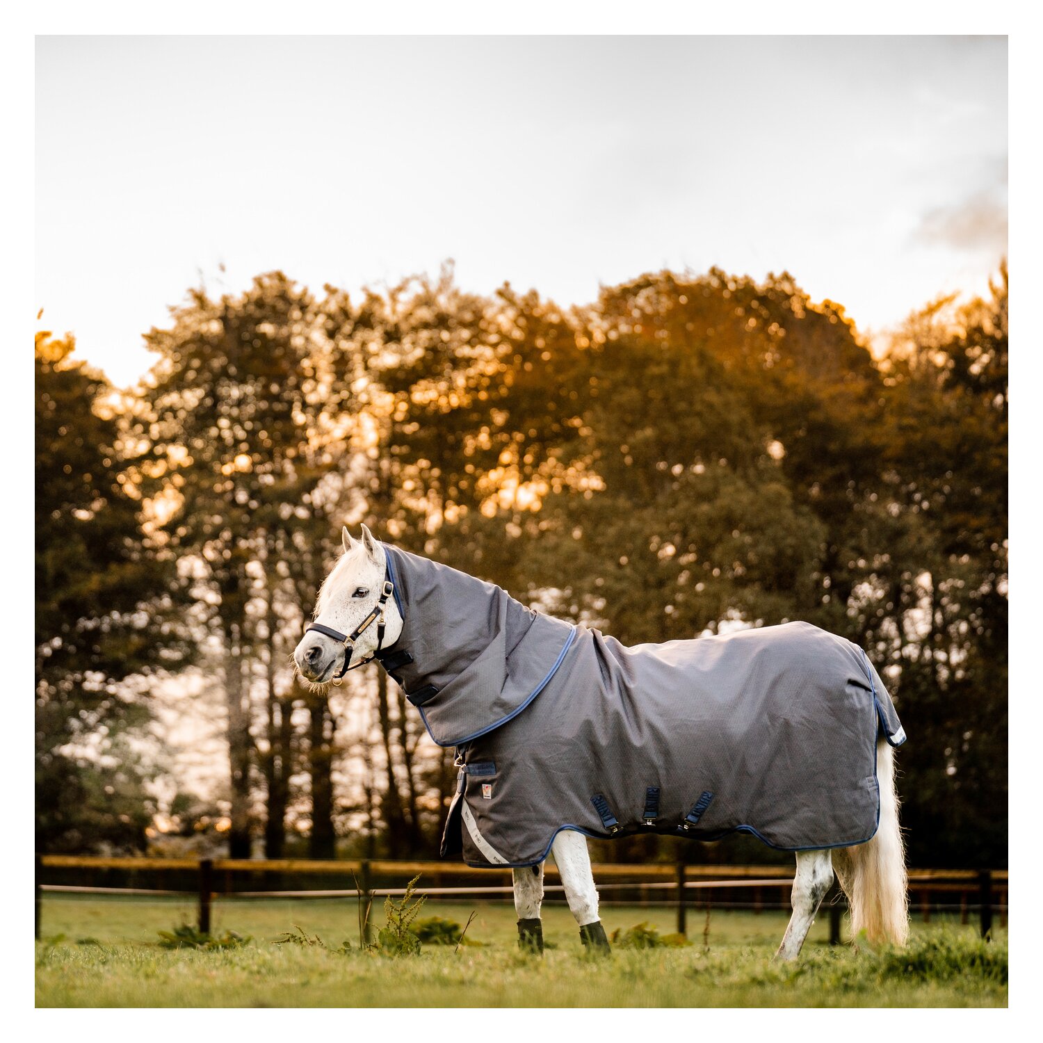 HORSEWARE Outdoor-/Weidedecke RHINO Hexstop Plus mit Vari-Layer - grey indigo