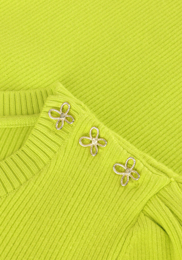 FABIENNE CHAPOT lime fabienne chapot trui lillian ss pullover